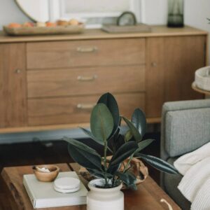 Sustainable Property Management Software